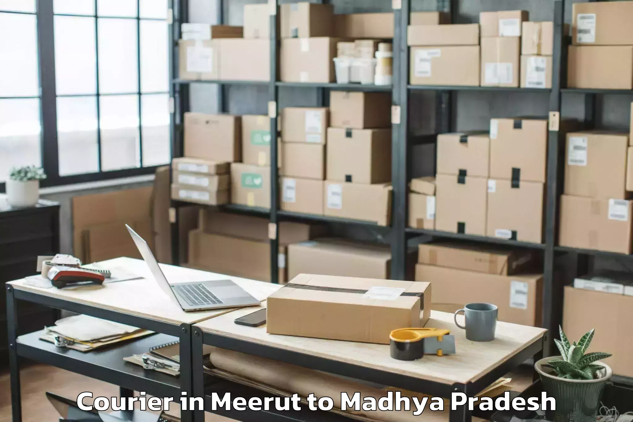 Expert Meerut to Pichhore Courier